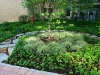 landscaped-gardens-along-front-walkway