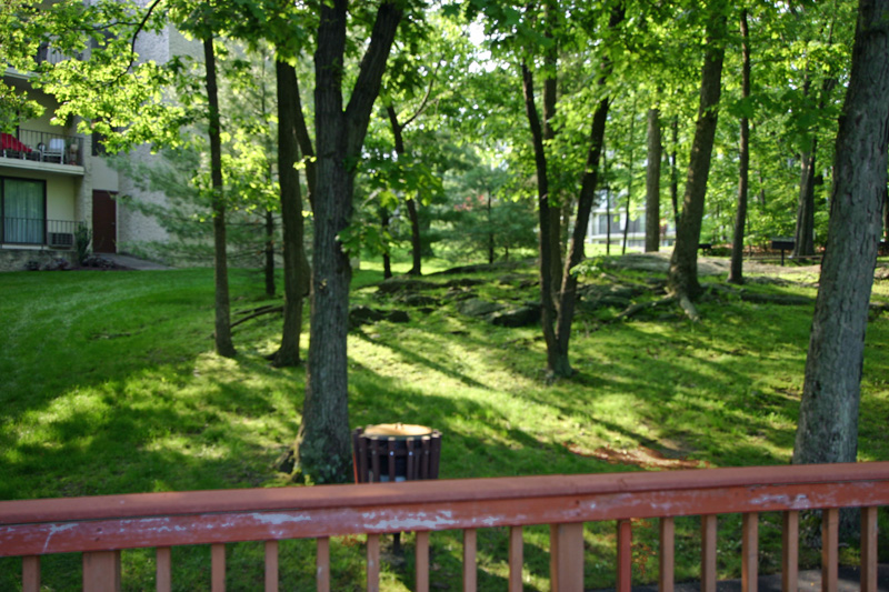 view-of-river-house-grounds-from-our-pool-deck